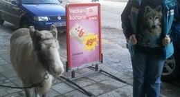 obrázek - Ica Supermarket Trollet