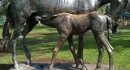 obrázek - Elizabeth Park