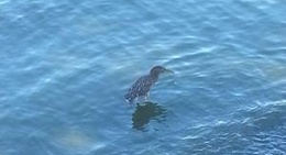 obrázek - On The Waterfront