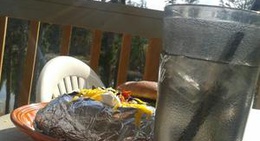 obrázek - Moose River Bar & Grill