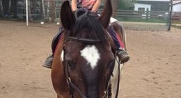 obrázek - Polwysep Lipa