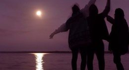 obrázek - Boreen Point Camp Grounds