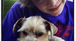 obrázek - Bristol Heights Subdivision