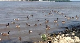 obrázek - City of East Moline