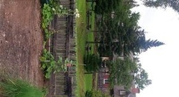 obrázek - Roma at 3 Rivers