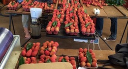 obrázek - Pesqueiro do Iwao