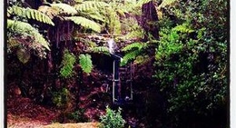 obrázek - Te Puna Quarry Park