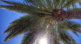 obrázek - Catalina, AZ