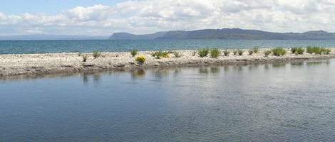 obrázek - Waitahanui