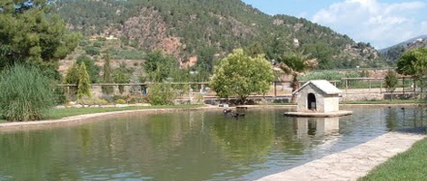 obrázek - Villahermosa del Río