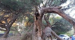 obrázek - Mash Brewery