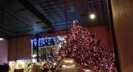 obrázek - The Black Crow