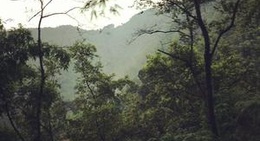 obrázek - Emei Mountain