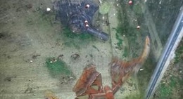 obrázek - Bamboo Jungle Resort