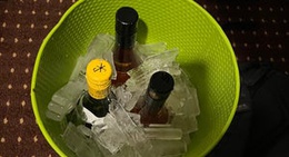 obrázek - Catskill Haven of Happiness