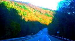 obrázek - Great Smoky Mountains