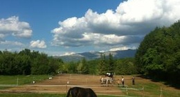 obrázek - Ranč Mustang