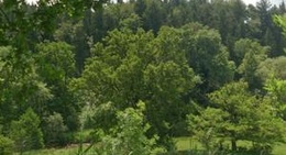 obrázek - In der Au