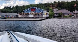 obrázek - Turtle Jacks