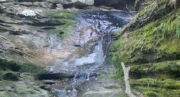 obrázek - Ferne Clyffe - State Park