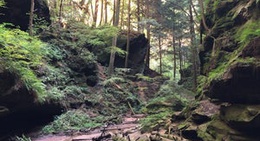 obrázek - Conkle's Hollow State Nature Preserve