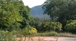 obrázek - Na Muang Safari Park