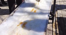 obrázek - Relais des Pins