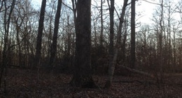 obrázek - Reifsnider State Park