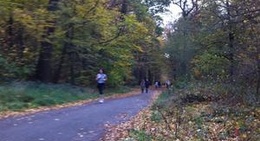 obrázek - Forêt de Saint-Germain-en-Laye