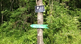 obrázek - Trail Days