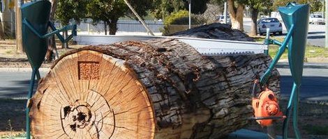 obrázek - Balranald