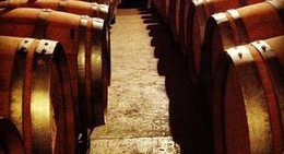 obrázek - Cavas Freixenet