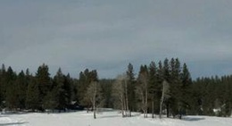 obrázek - Snooki Luge