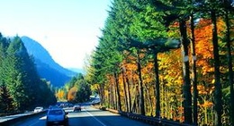 obrázek - Historic Columbia River Highway State Trail