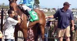 obrázek - Horse Races At Fair