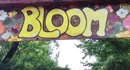 obrázek - Bloom Discobar
