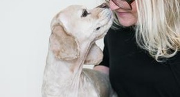 obrázek - Maria Backlund Grafisk Design