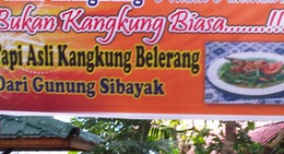 obrázek - RM Punokawan