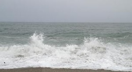 obrázek - σκιαθας