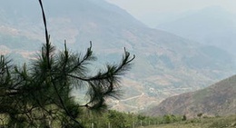 obrázek - pu nhi farm