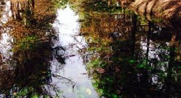 obrázek - La media luna