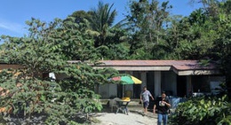 obrázek - Sula’s Bus Stop