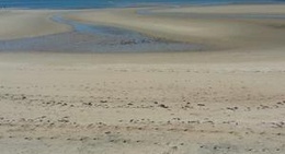 obrázek - Puerto Peñasco