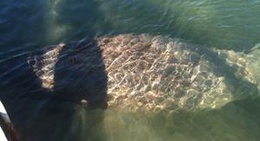 obrázek - Conch Key