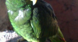 obrázek - Rancho La Cachimba