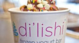 obrázek - di'lishi frozen yogurt bar