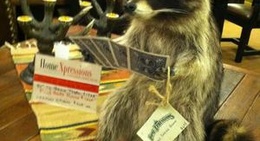 obrázek - Minocqua, WI