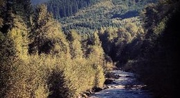 obrázek - Glacier, WA