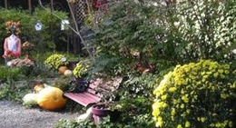 obrázek - The Wild Plum Tea Room