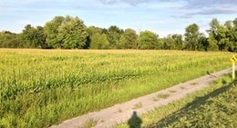 obrázek - Wampsville, NY